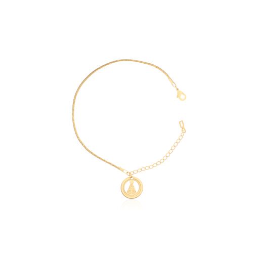 PULSEIRA NOSSA SENHORA APARECIDA