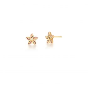 Conjunto Brinco e Corrente com Pingente Flor Banhado a Ouro
